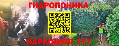 jwh Свободный