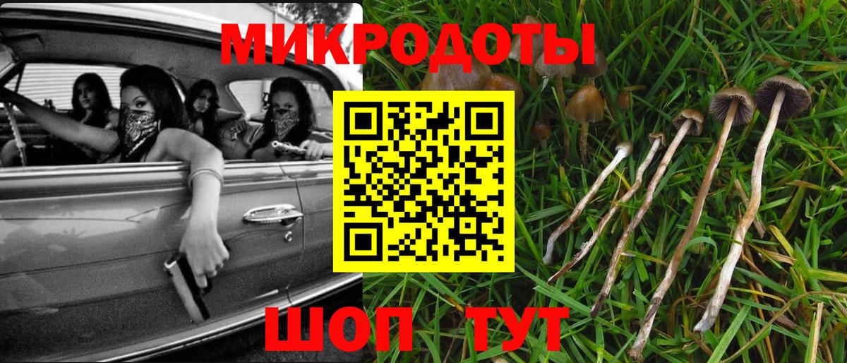 Нерюнгри  Галлюциногенные грибы прущие грибы  наркошоп  Вход с VPN 